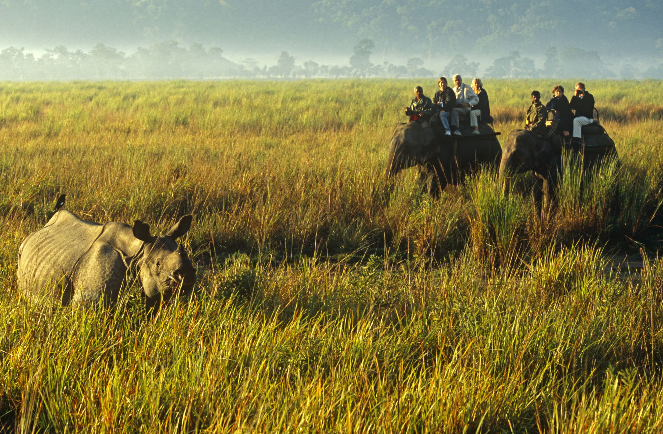 Shillong To Kaziranga Tour Package 6N 7D