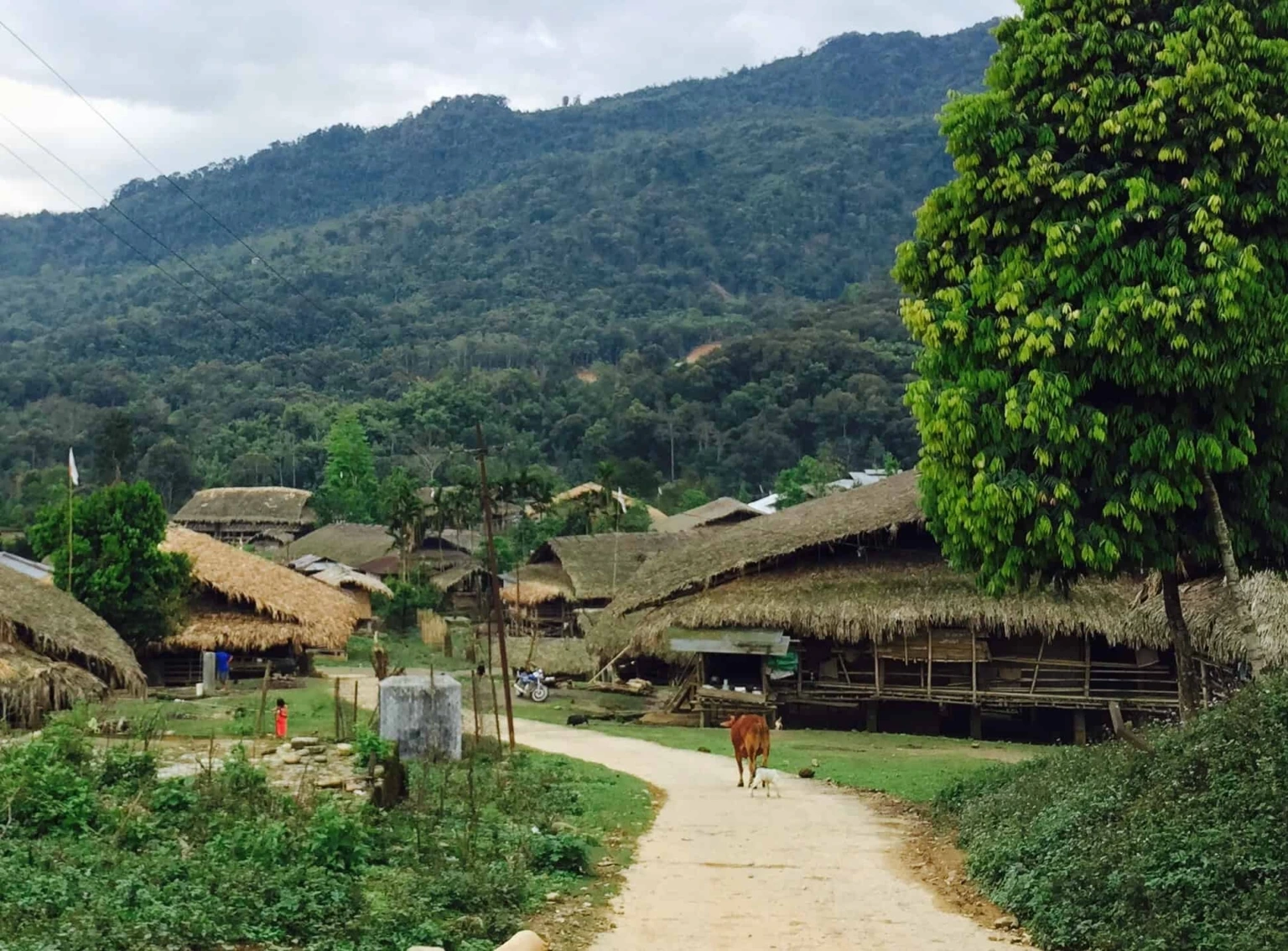 Must visit places in Arunachal Pradesh