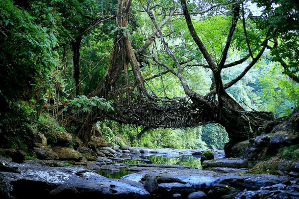 Meghalaya Shillong Cherrapunji