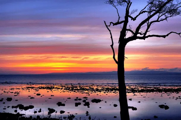 Best PLaces to Visit in Andaman And Nicobar Island