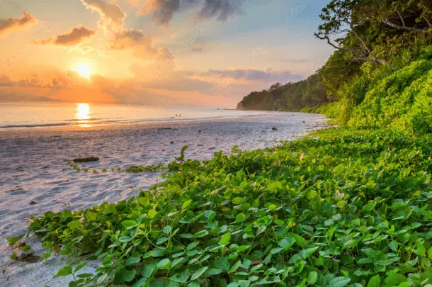 Best Places to Visit in Andaman for Honeymoon