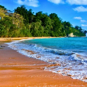 Relaxing Shores of Andaman