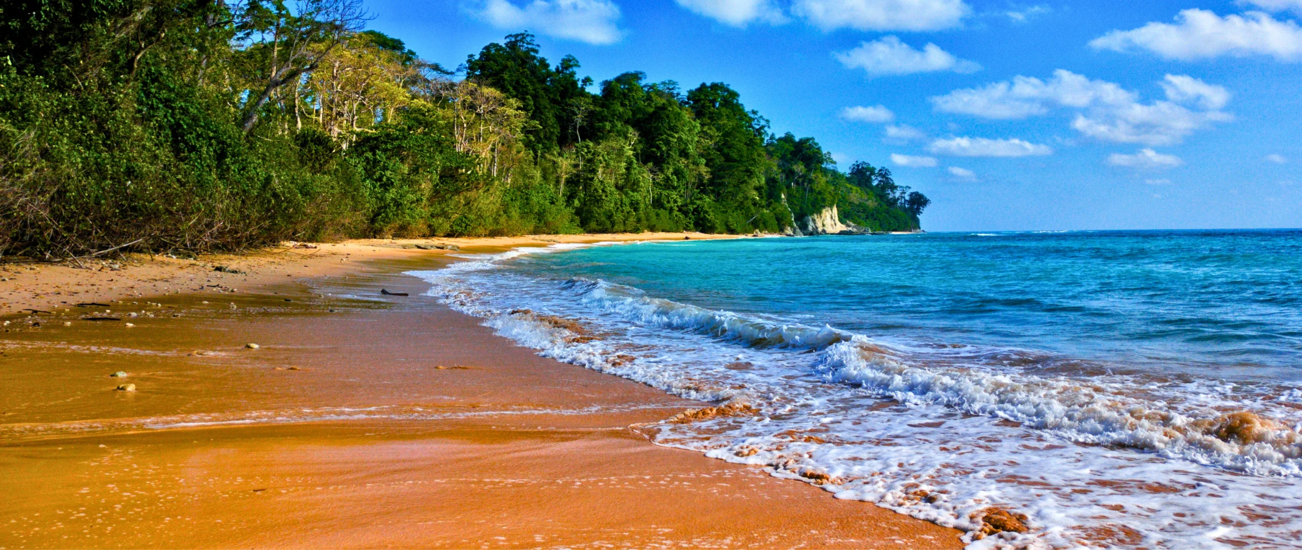 Relaxing Shores of Andaman
