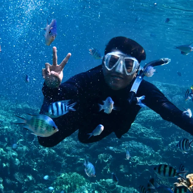 Snorkeling Experiences in Andaman