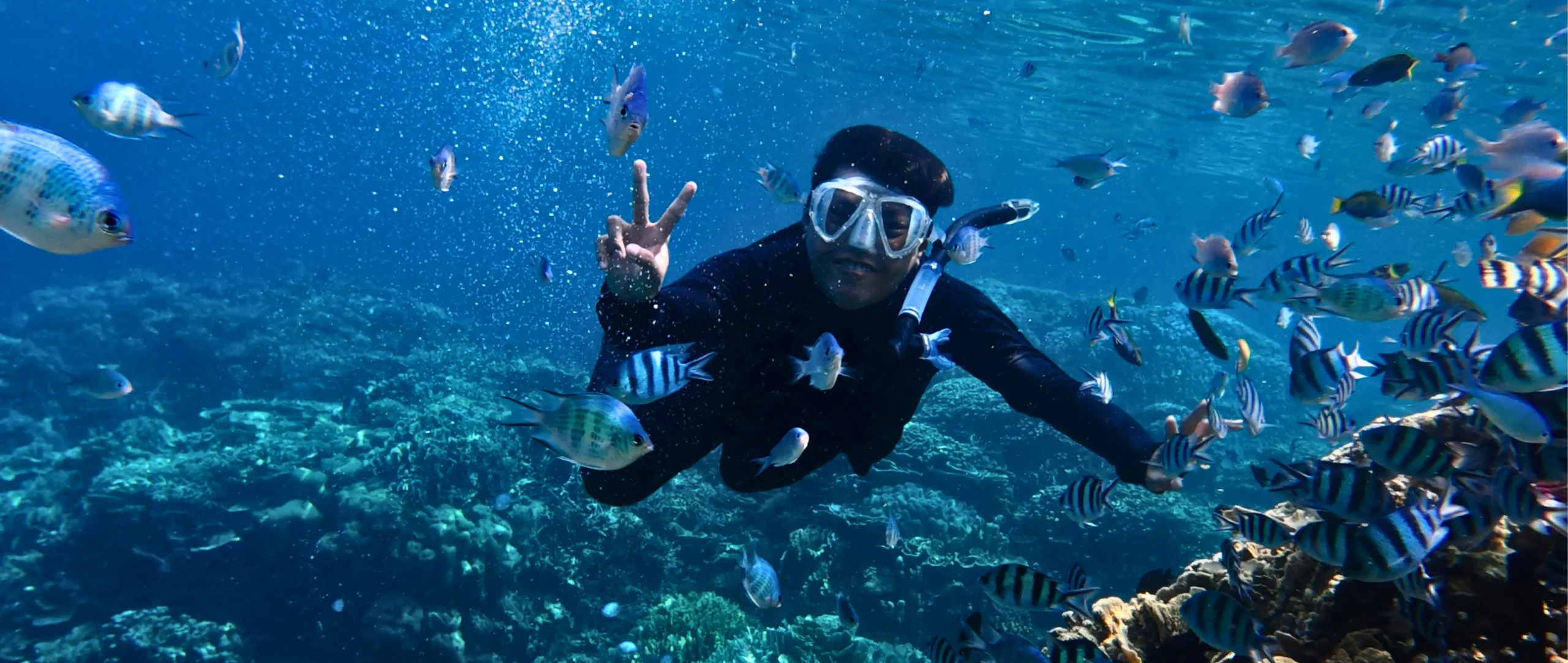 Snorkeling Experiences in Andaman