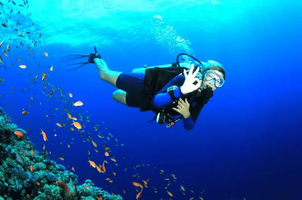 Things to Do on Your Andaman Honeymoon package