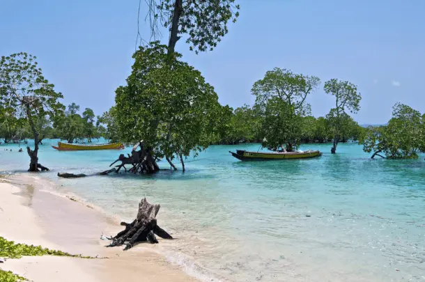 What To Do in Andaman And Nicobar Islands