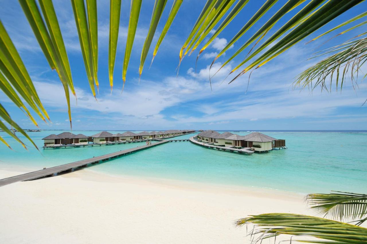 Paradise Island Resort and Spa