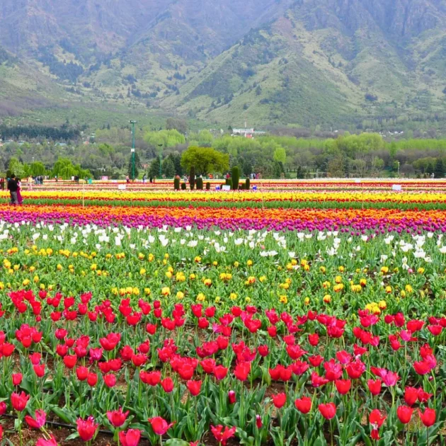 Budget travel to Kashmir