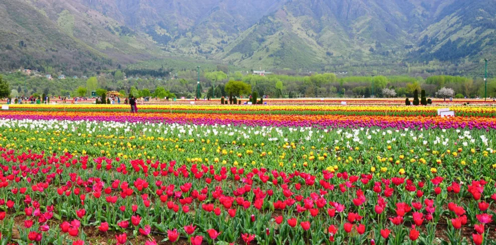 Budget travel to Kashmir