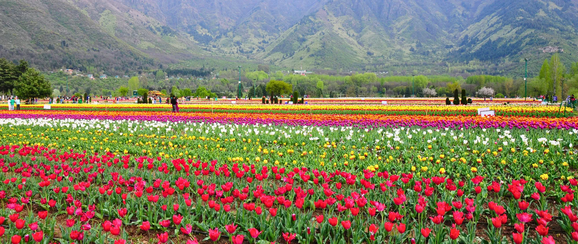Budget travel to Kashmir