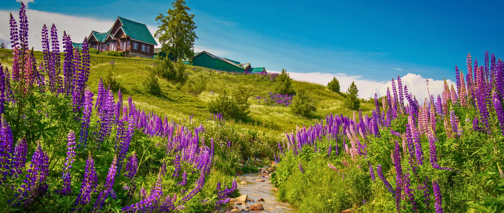 Kashmir tour packages