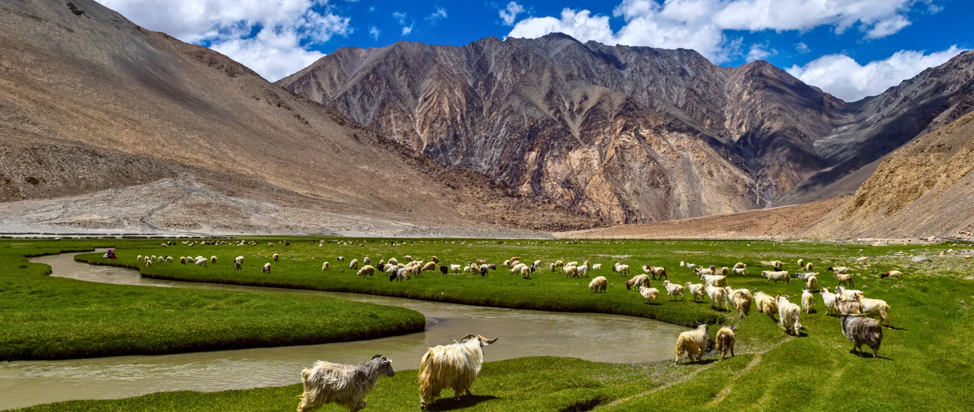 Ladakh tour packages