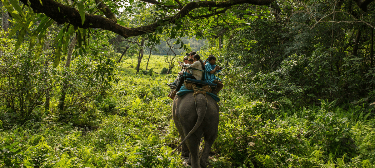 jaldapara national park