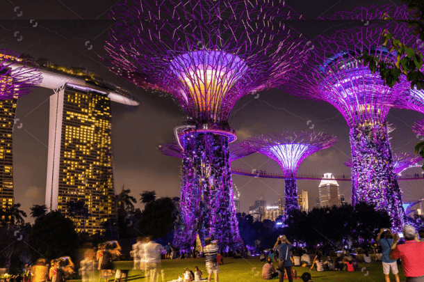 Gardens by the bay