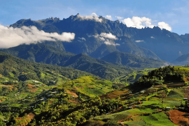 Mount kinabalu national park