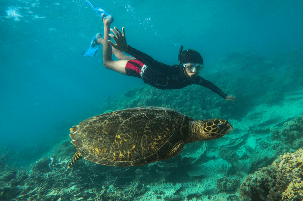 Blue Bay Marine Park