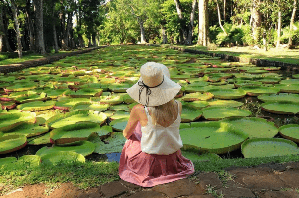 Pamplemousses Botanical Garden