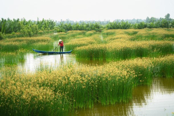 Mekong delta vietnam