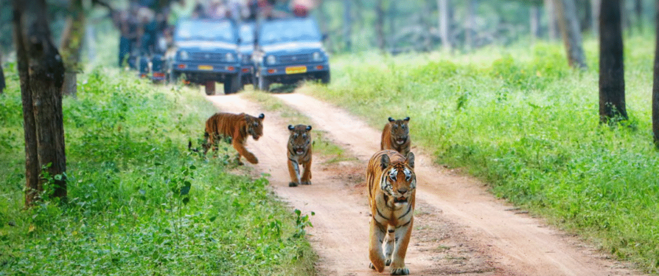 offbeat Wildlife Tours in Assam & Meghalaya