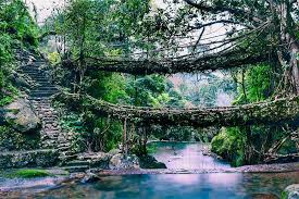 Meghalaya Tour Package from Delhi