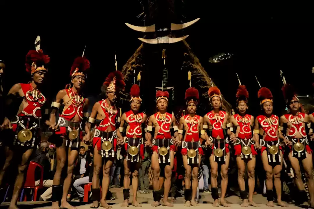 Hornbill festival tour package
