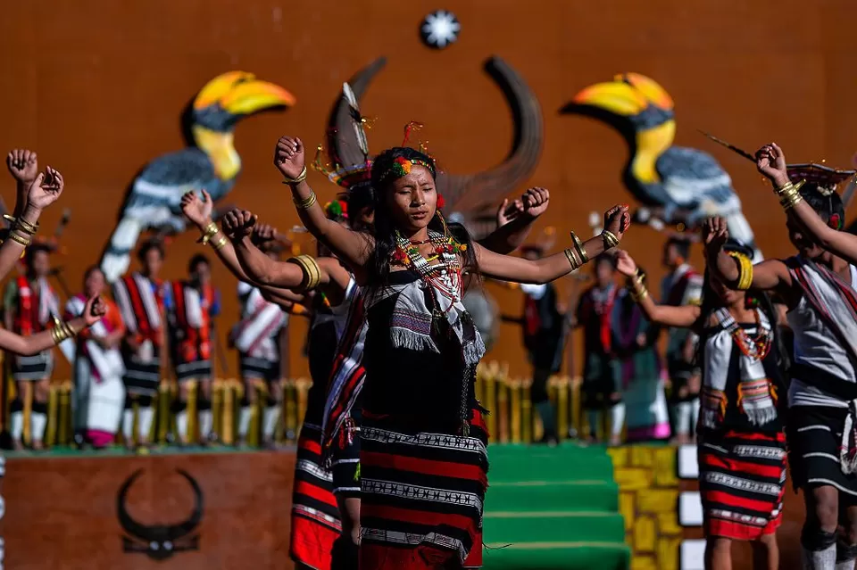 Hornbill festival tour package