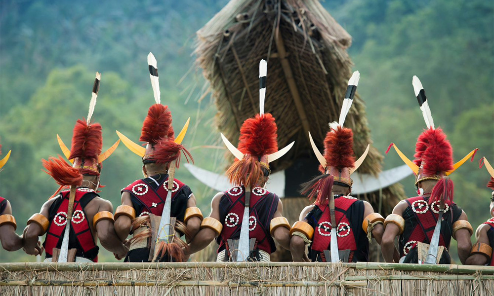 Hornbill festival tour package