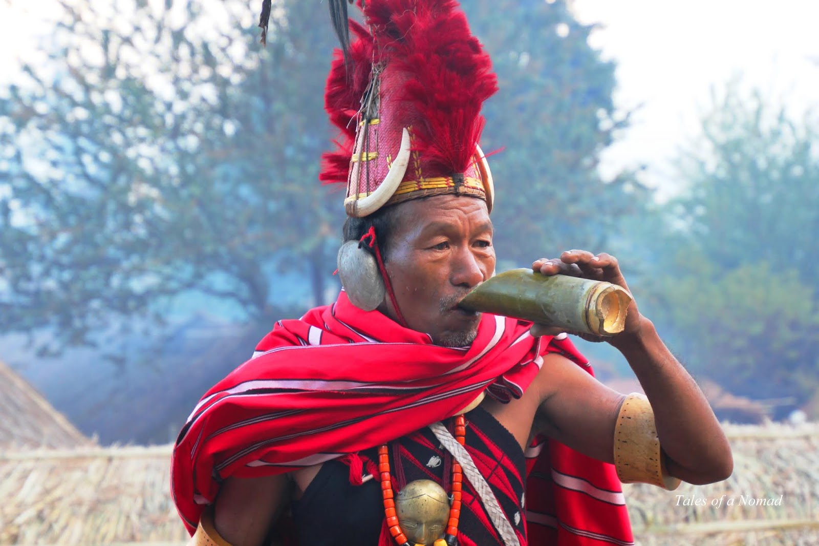 Hornbill festival tour package