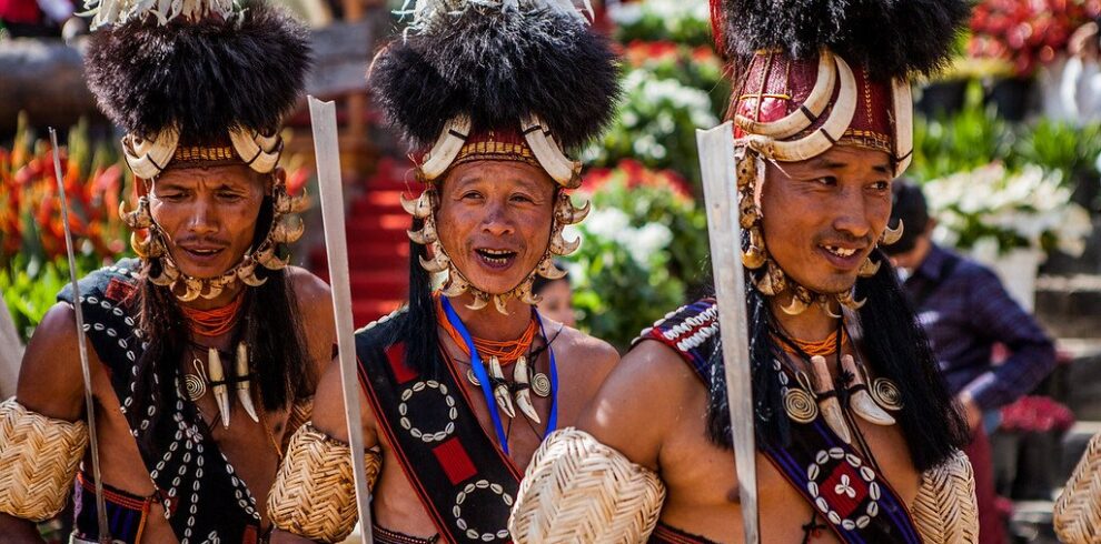 Hornbill festival tour package