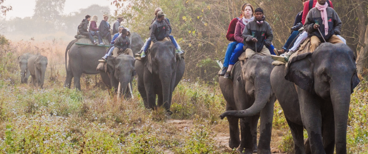 Assam and Arunachal cultural tour