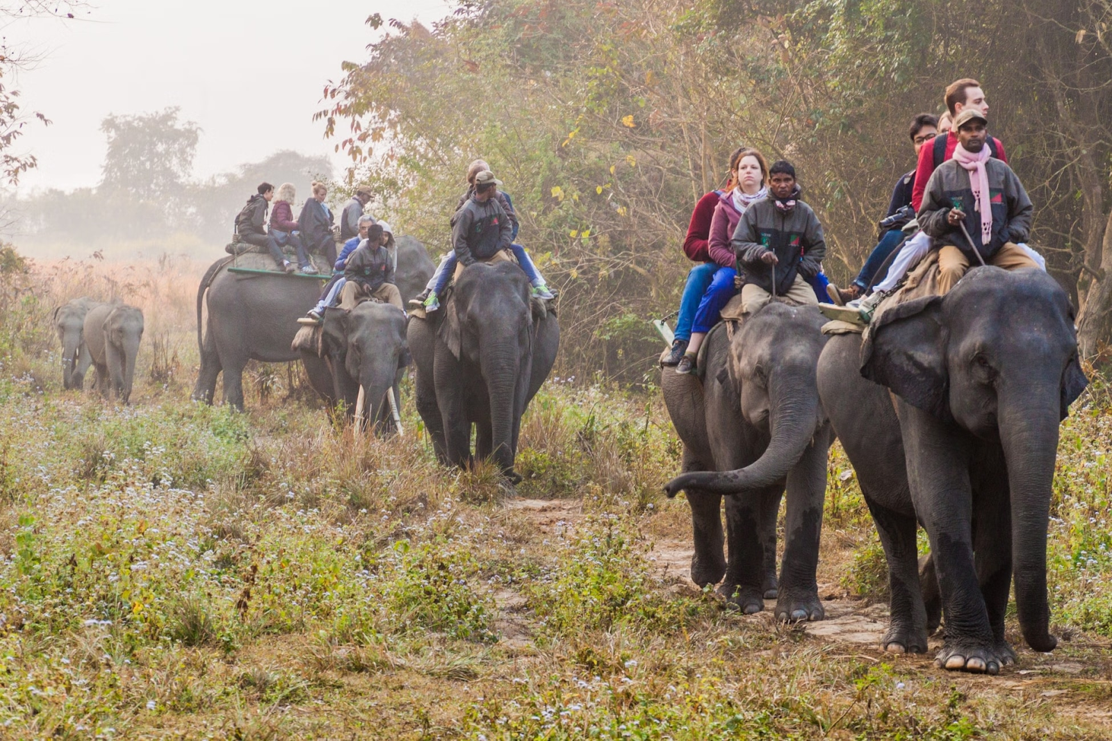 Assam and Arunachal cultural tour