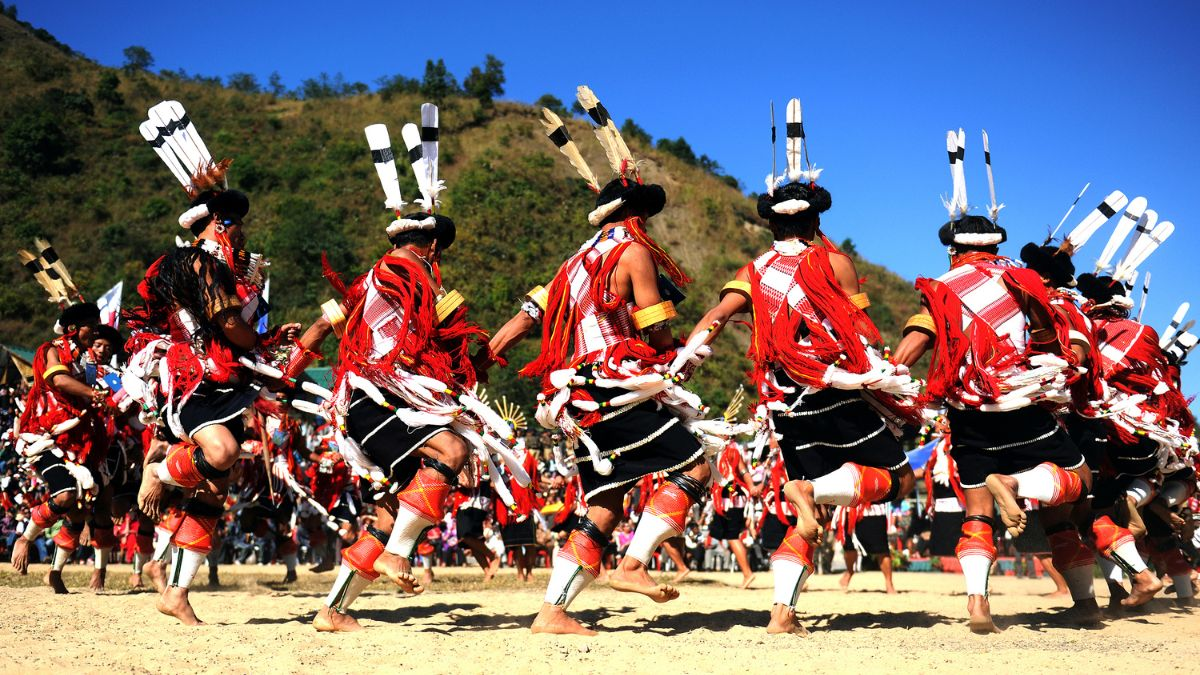 Hornbill festival tour package