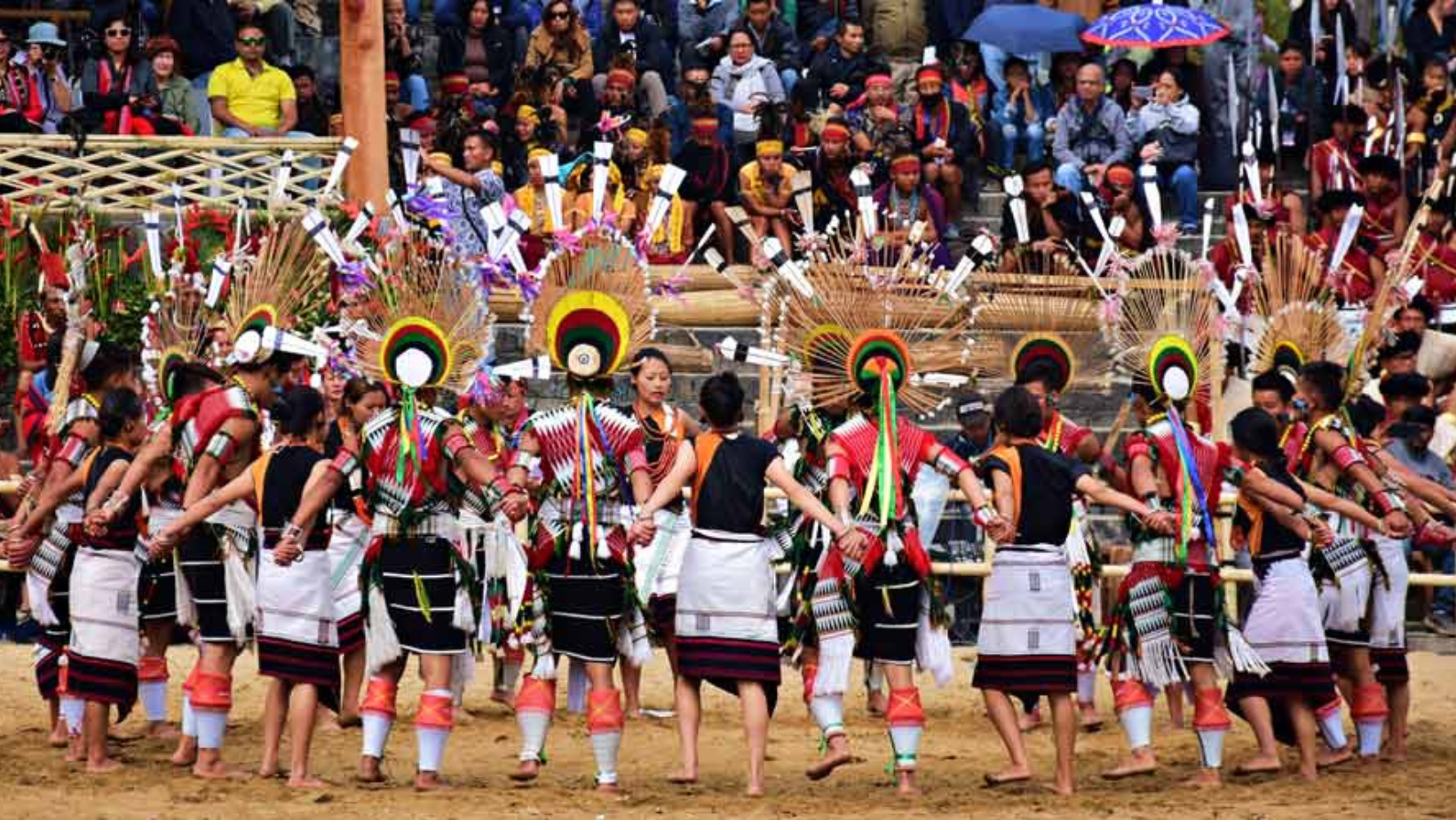 Hornbill festival tour package
