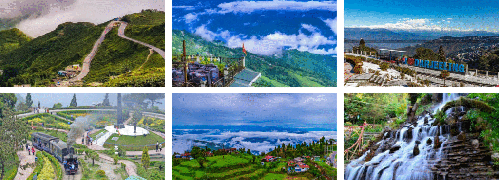 Untitled design (19)