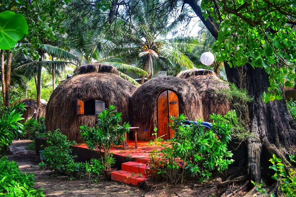 Eco-friendly destinations in India