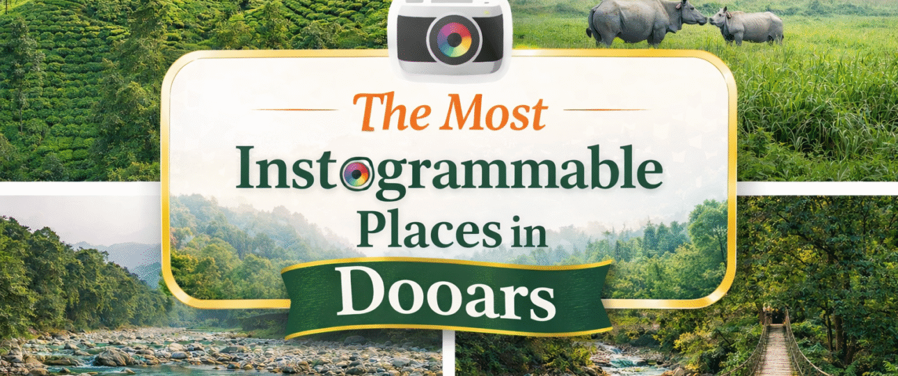 Most Instagrammable Places in Dooars