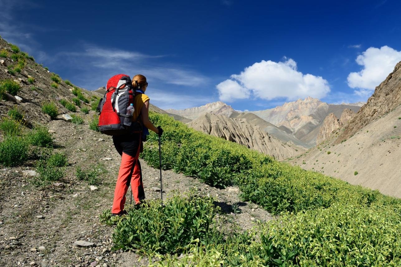Things No One Tells You About Visiting Ladakh